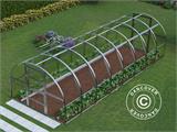 Serre polycarbonate TITAN Arch 280, 24m², 3x8m, Argent