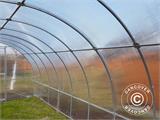 Broeikas polycarbonaat TITAN Arch+ 320, 6m², 3x2m, Zilver