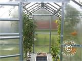 Greenhouse polycarbonate TITAN Dome 320, 10 m², 2.5x4 m, Silver