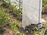 Polytunnel greenhouse 2x3x1.75 m, 6 m², PE, Transparent