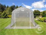 Polytunnel greenhouse, 2.4x3.6x2.4 m, PE, 8.6 m², Transparent