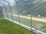 Polytunnel greenhouse, 3.6x6x2.68 m, PE, 21.6 m², Transparent