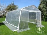 Polytunnel Staklenik, 3,6x8,4x2,68m, PE, 30,24m², Prozirni