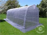 Serre tunnel, 2,4x6x2,4m, PE, 14,4m², Transparent