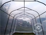 Serre tunnel, 2,4x6x2,4m, PE, 14,4m², Transparent