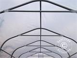 Serre tunnel, 2,4x6x2,4m, PE, 14,4m², Transparent